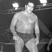 Andre The Giant